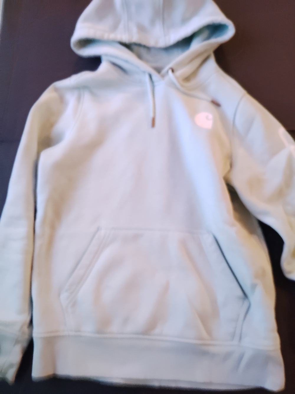 Carhartt Women's Hoodie Light Mint Colored